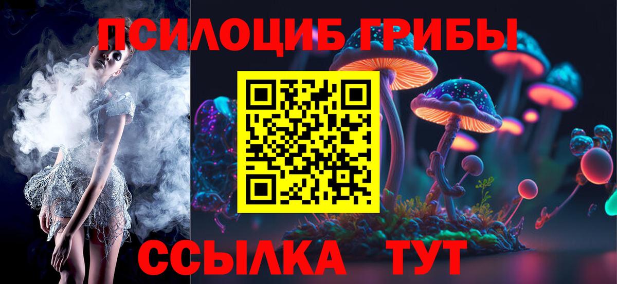 Майкоп  Галлюциногенные грибы Psilocybe  Вход с VPN 